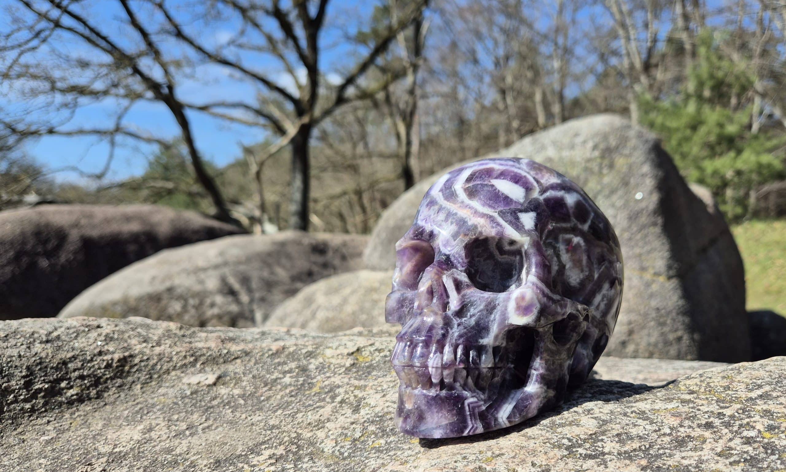 afbeelding-oerlijnopstellingen-1