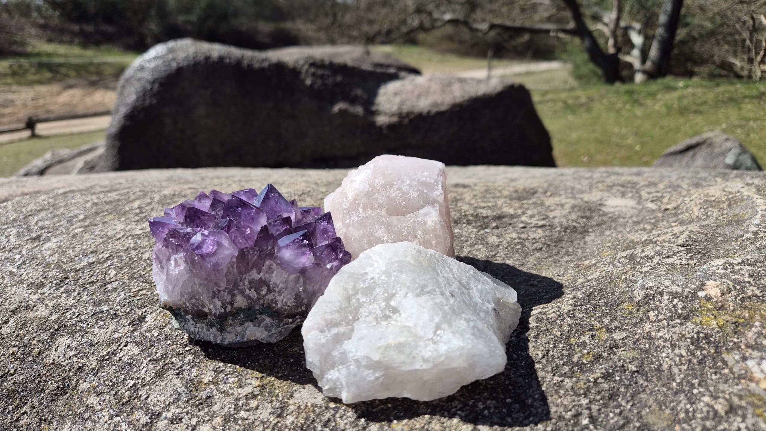 afbeelding-oerlijnopstellingen-3